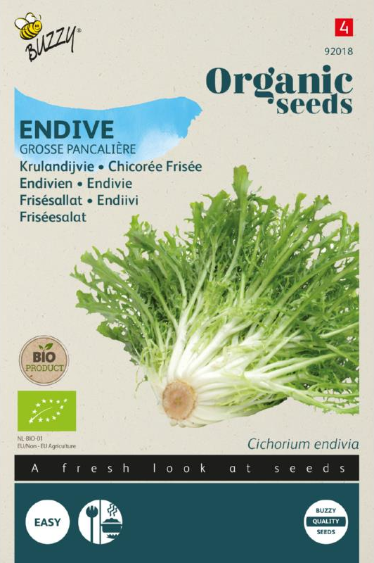 Krause Endivie Grosse Pancalière Samen BIO