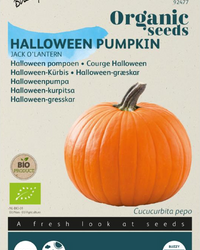 Kürbis Jack O'Lantern Samen BIO inspiratie 1