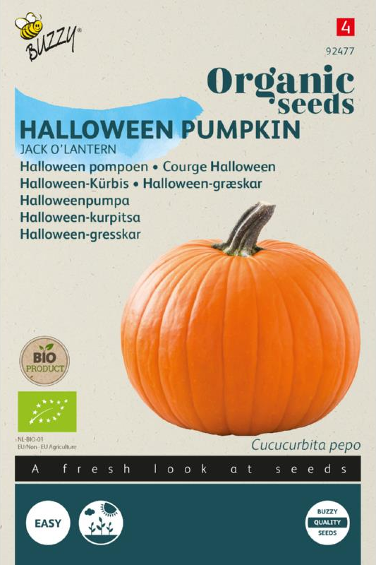 Kürbis Jack O'Lantern Samen BIO