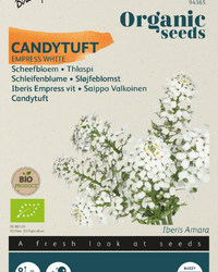 Schleifenblume Empress Samen BIO inspiratie 1