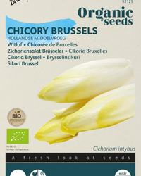 Chicorée Hollandse Middelvroeg Samen BIO inspiratie 1