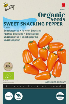 product front