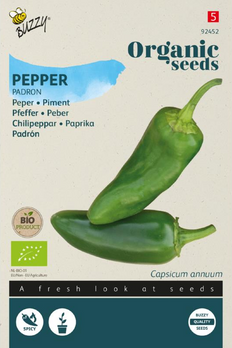 product front