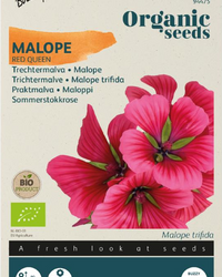 Trichtermalve Red Queen Samen BIO inspiratie 1