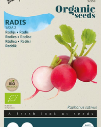 Radieschen Saxa 2 Samen BIO inspiratie 1