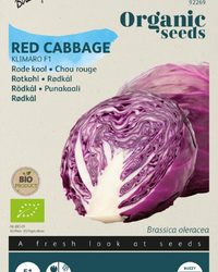 Rotkohl Klimaro F1 Samen BIO inspiratie 1