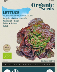 Kopfsalat Wunder der vier Jahreszeiten Samen BIO inspiratie 1