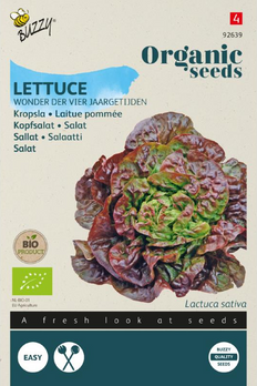 product front