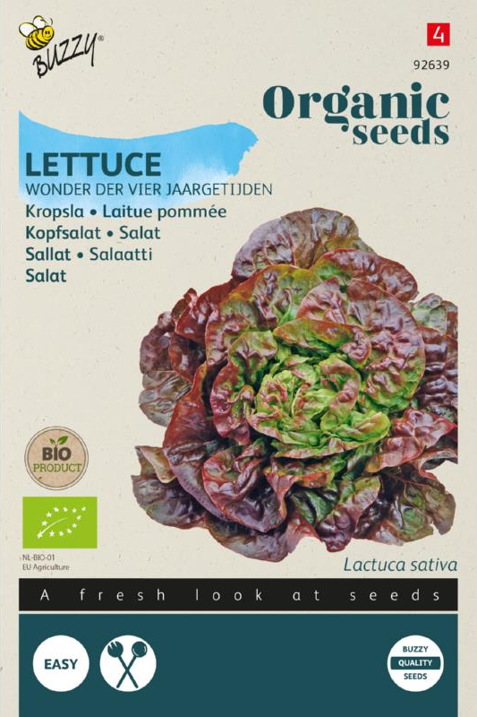 Kopfsalat Wunder der vier Jahreszeiten Samen BIO