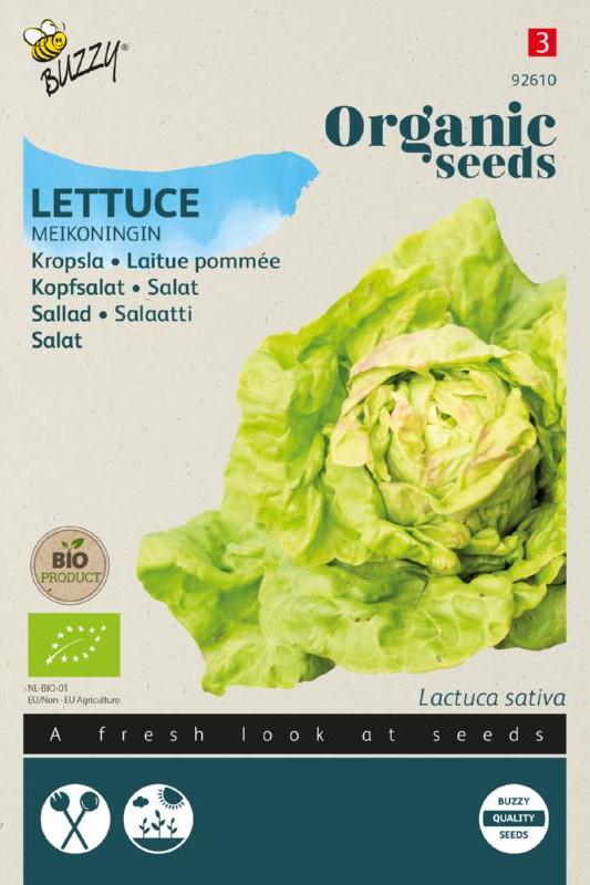 Kopfsalat Maikönigin Samen BIO