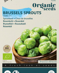 Rosenkohl Doric F1 Samen BIO inspiratie 1