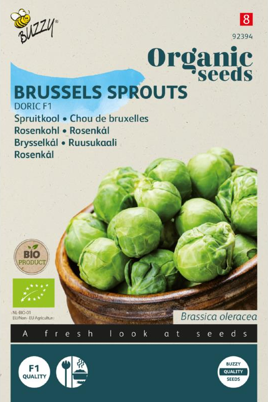 product front