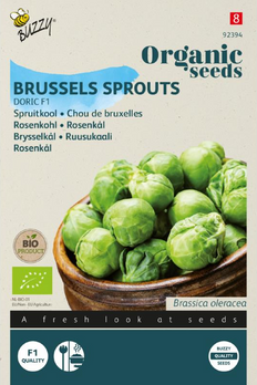 product front