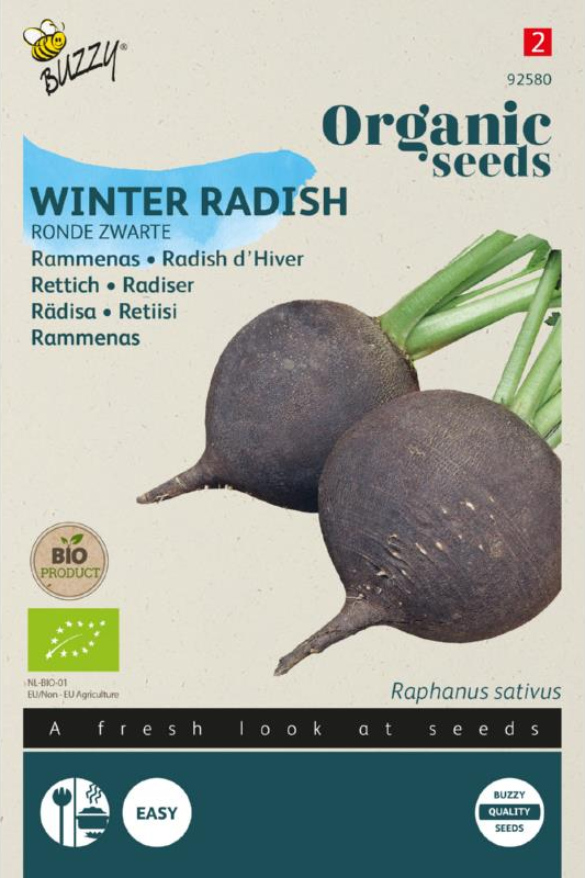 Rettich Runde Schwarze Samen BIO