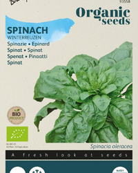 Spinat Winterriesen Samen BIO inspiratie 1