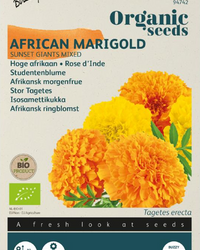Studentenblume Sunset Giants Samen BIO inspiratie 1