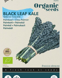 Palmkohl Nero di Toscana Samen BIO inspiratie 1