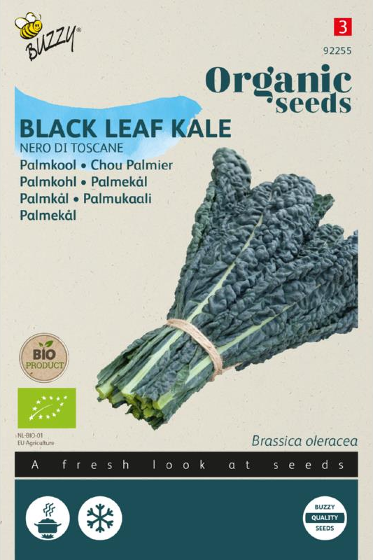 product front