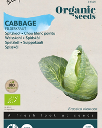 Spitzkohl Filderkraut Samen BIO inspiratie 1