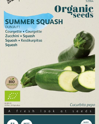 Zucchini Dunja F1 Samen BIO inspiratie 1
