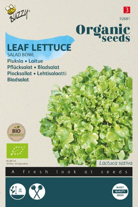 Pflücksalat Salad Bowl grün Samen BIO