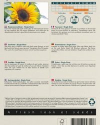 Riesensonnenblume Samen BIO inspiratie 2