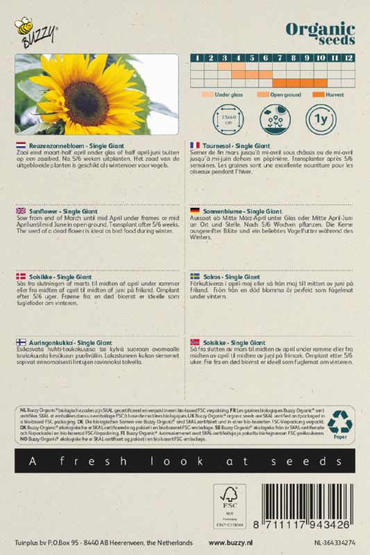 Riesensonnenblume Samen BIO inspiratie 2