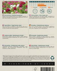 Bartnelken Mix Saatgutmischung BIO inspiratie 2