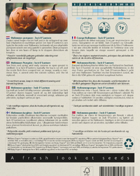Kürbis Jack O'Lantern Samen BIO inspiratie 2