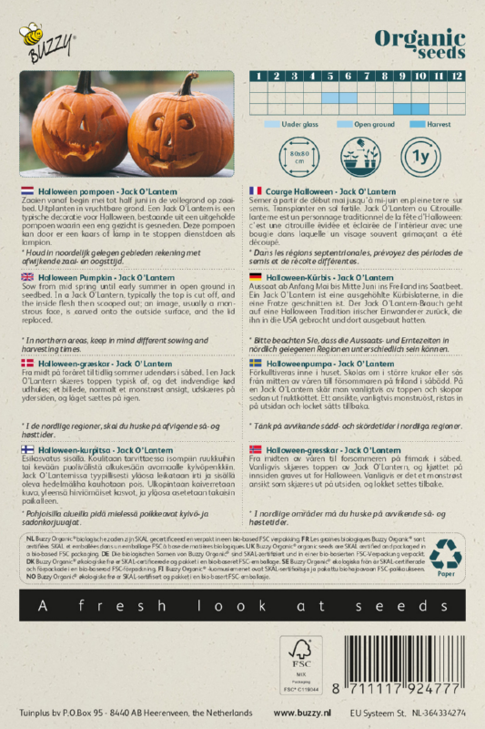 Kürbis Jack O'Lantern Samen BIO inspiratie 2