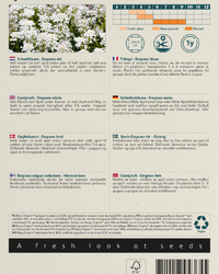 Schleifenblume Empress Samen BIO inspiratie 2
