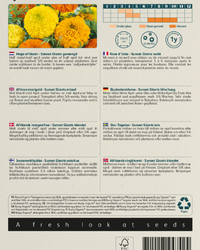 Studentenblume Sunset Giants Samen BIO inspiratie 2