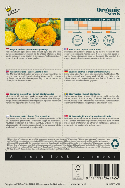 Studentenblume Sunset Giants Samen BIO inspiratie 2