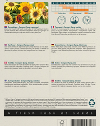 Sonnenblume Compact Spray Samen BIO inspiratie 2