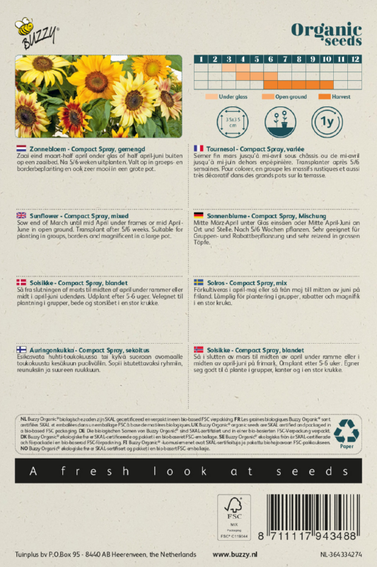 Sonnenblume Compact Spray Samen BIO inspiratie 2