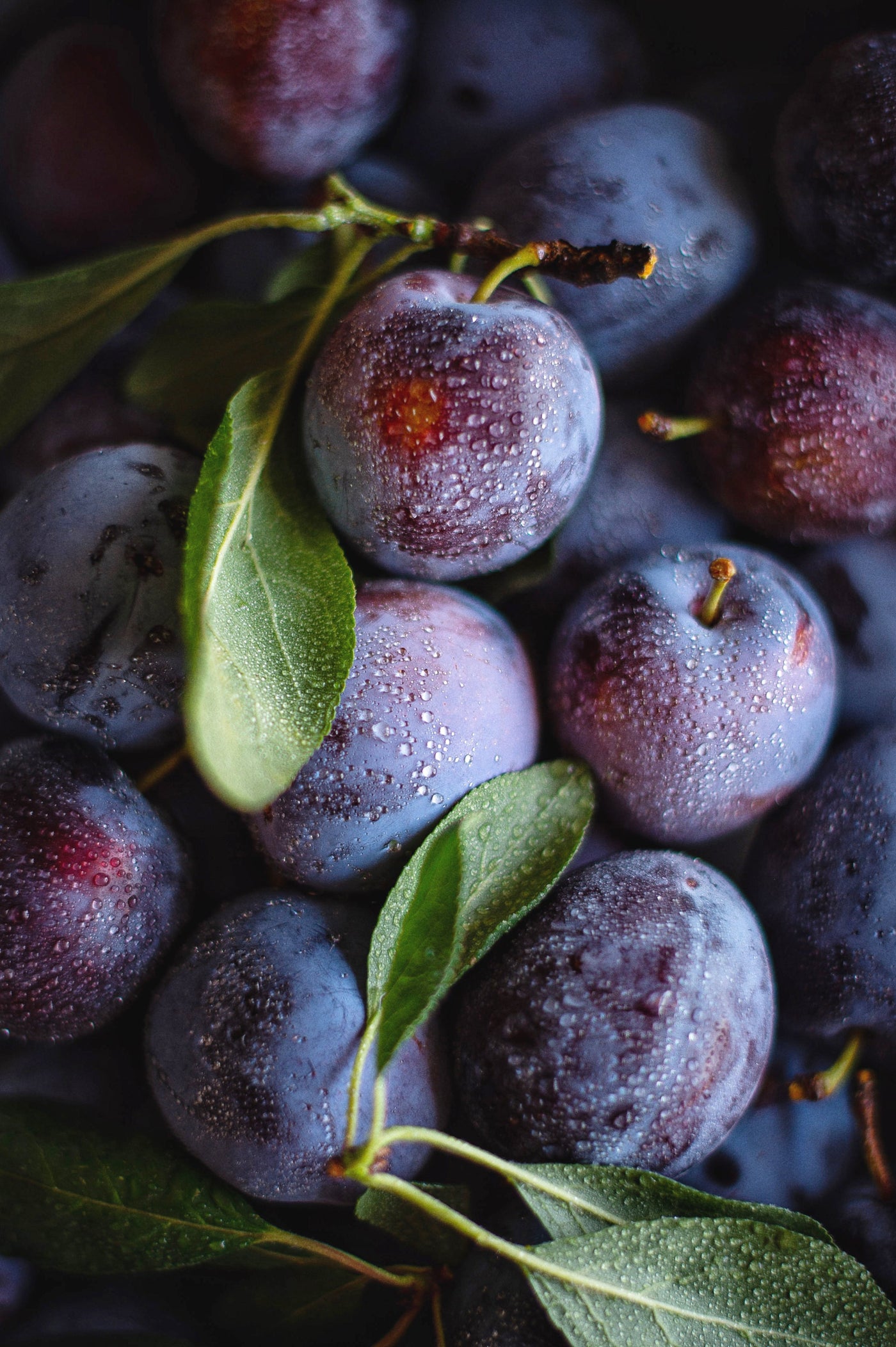 Mini-Obstgarten inspiratie 4