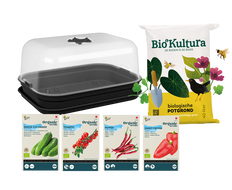 Starterkit Gemüsegarten – Paprika, Gurke, Tomate, Pfeffer