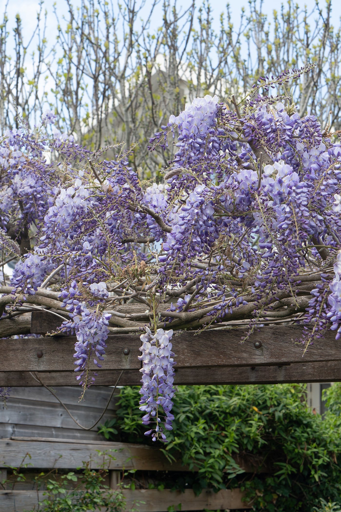 inspiratie