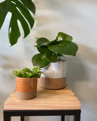 inspiratie-1