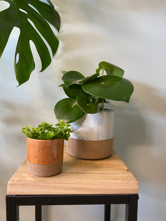 inspiratie