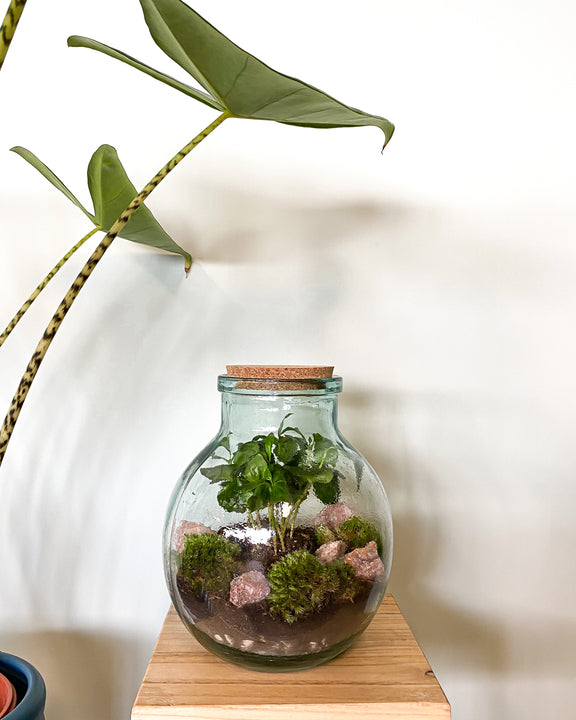 inspiratie