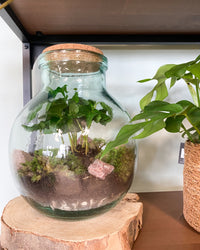 inspiratie-5