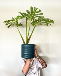 inspiratie-3