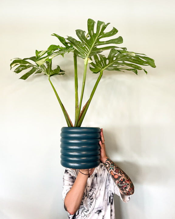 inspiratie
