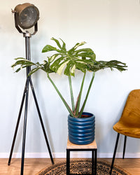 inspiratie-1