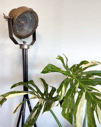 inspiratie-2