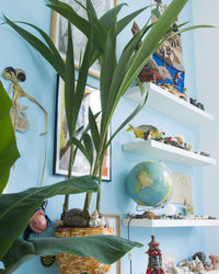 inspiratie-3
