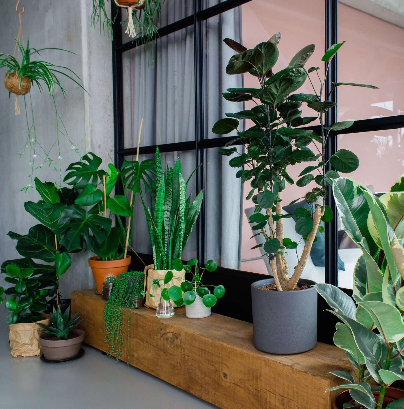 inspiratie