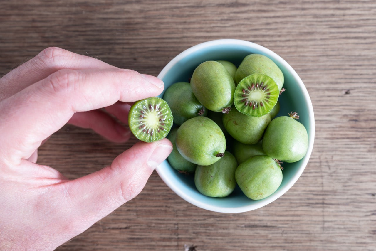 Kiwibeere (Actinidia issai) inspiratie 2