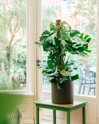 inspiratie-3